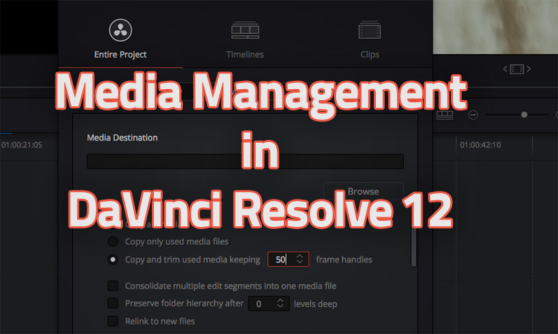 Media Management in DaVinci Resolve 12