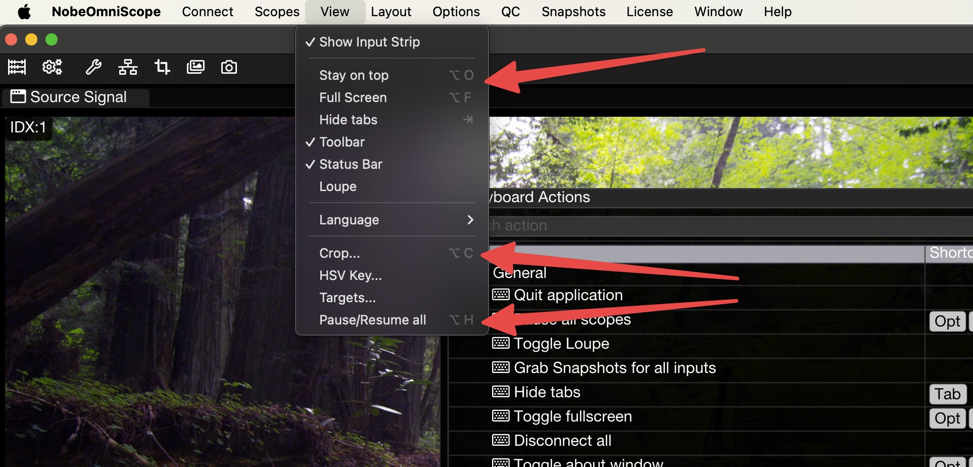https://timeinpixels.com/blog/images/2024-01-18/2024-01-18_action_editor_key_shortcuts.jpeg