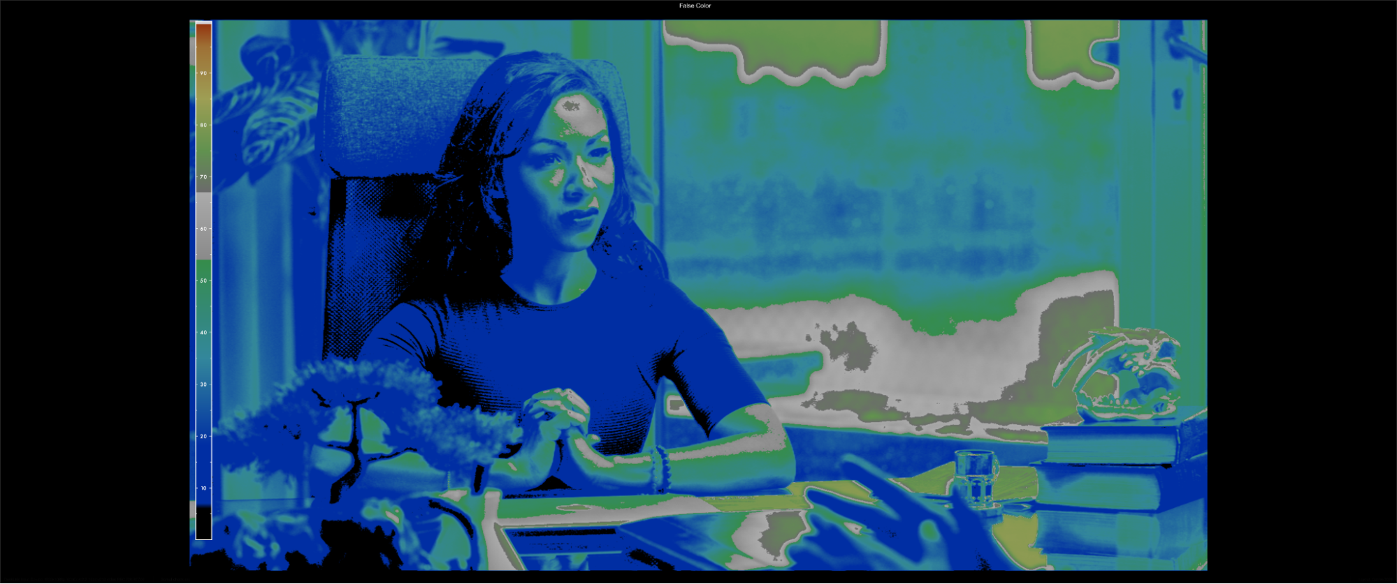 Nobe OmniScope False Color display using the Flanders preset to place skin exposure