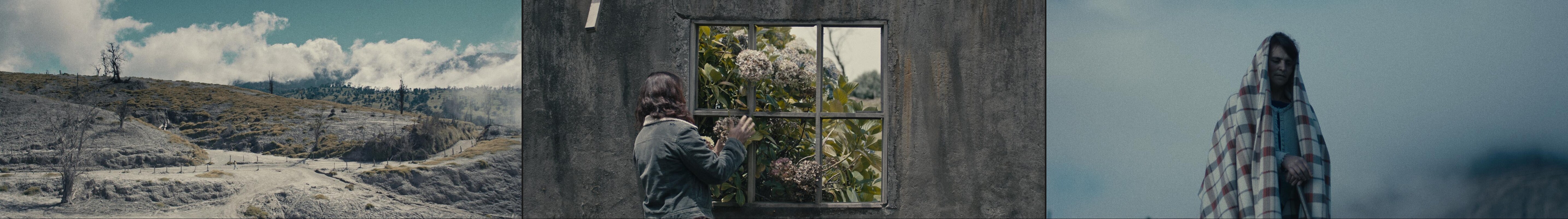 Stills from the documentary La Picada, color graded by Chisco Arce